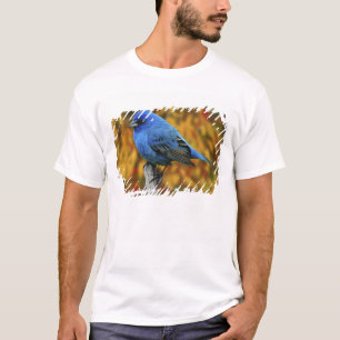 Mannetje indigogors, Passerina cyanea T-shirt