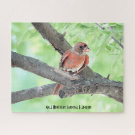Mannetje Kardinaal Jong Vogel, vogelliefhebber Legpuzzel