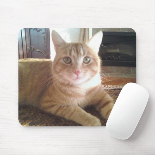mannetje muismat (Met muis)