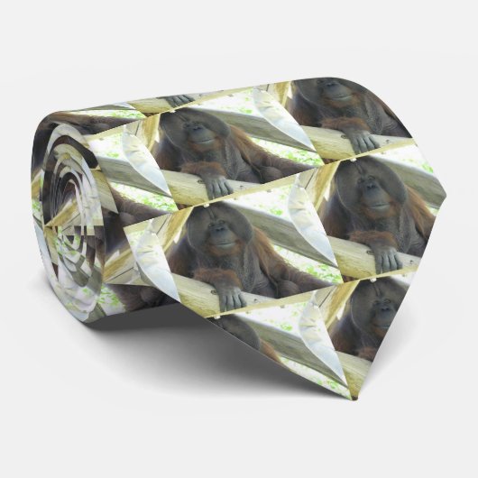 mannetje orangutaan stropdas (Opgerold)