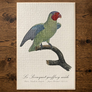 Mannetje Roodwangparkiet, Geoffroyus geoffroyi Legpuzzel