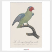 Mannetje Roodwangparkiet, Geoffroyus geoffroyi Sticker (Vel)