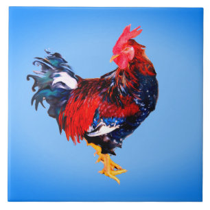 mannetje , rooster tegeltje