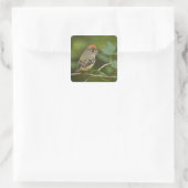 Mannetje Rubijnkoning, Regulus calendula Vierkante Sticker (Tas)