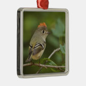 Mannetje Rubysnuithaantje, Regulus calendula Metalen Ornament (Rechts)
