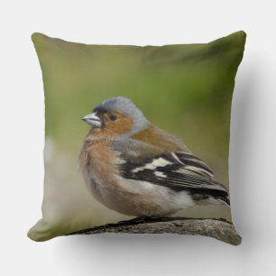 Mannetje vink (WILD: Fringilla coelebs) Kussen