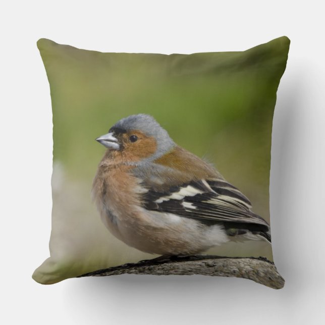 Mannetje vink (WILD: Fringilla coelebs) Kussen (Voorkant)