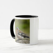 Mannetje vink (WILD: Fringilla coelebs) Mok (Voorkant links)