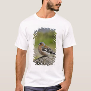 Mannetje vink (WILD: Fringilla coelebs) T-shirt