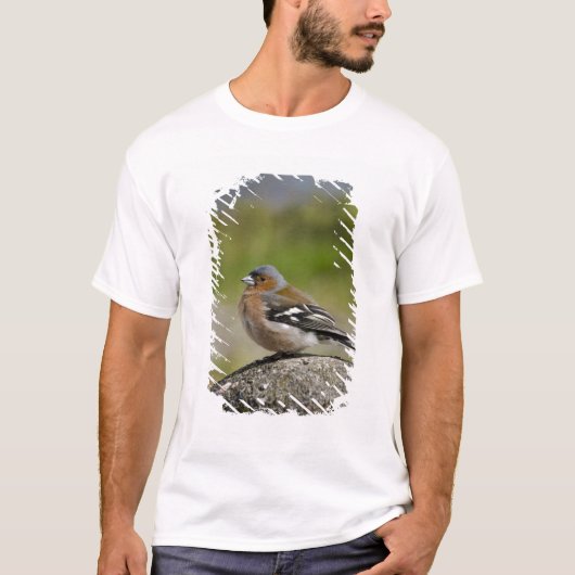 Mannetje vink (WILD: Fringilla coelebs) T-shirt (Voorkant)