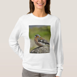 Mannetje vink (WILD: Fringilla coelebs) T-shirt