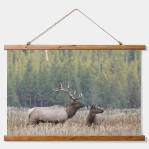 Mannetje Wapiti in Weiland Yellowstone National Hangend Wandkleed