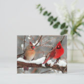 mannetjes en vrouwtjes kardinalen feestdagenkaart (Staand voorkant)