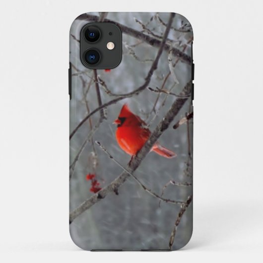 Mannetjes kardinaal iPhone 5 hoes (Achterkant)