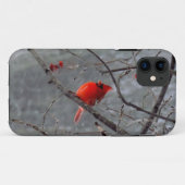 Mannetjes kardinaal iPhone 5 hoes (Achterkant (horizontaal))