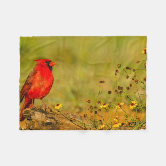 Mannetjes kardinaal op stam fleece deken (Voorkant (Horizontaal))