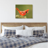 Mannetjes kardinaal op tak canvas afdruk (Insitu (Slaapkamer))