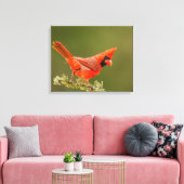 Mannetjes kardinaal op tak canvas afdruk (Insitu (Woonkamer))