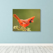 Mannetjes kardinaal op tak canvas afdruk (Insitu (Houten vloer))