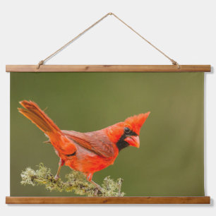 Mannetjes kardinaal op tak hangend wandkleed