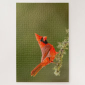 Mannetjes kardinaal op tak legpuzzel (Verticaal)