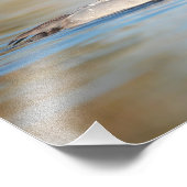 mannetjeskanvasback-eend foto afdruk (Hoek)