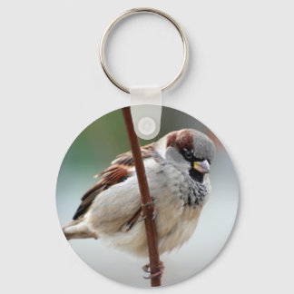 mannetjesman sleutelhanger