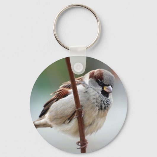 mannetjesman sleutelhanger (Voorkant)