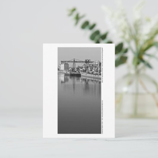 Mannheim - Am Hafen Briefkaart (Staand voorkant)