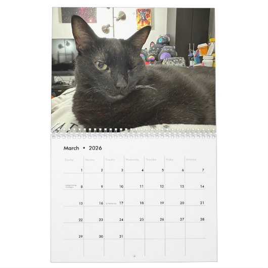 Manny Halloween Cat 2025 Kalender (Mar 2026)