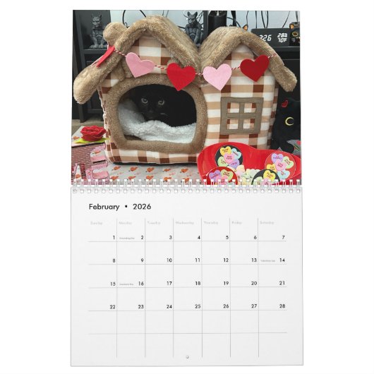 Manny Halloween Cat 2025 Kalender (Feb 2026)