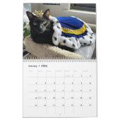 Manny Halloween Cat 2025 Kalender (Jan 2026)