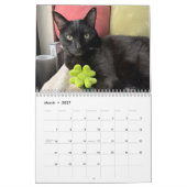 Manny Halloween Cat 2026 Calendar Kalender (Mar 2027)