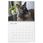 Manny Halloween Cat 2026 Calendar Kalender (Jan 2027)