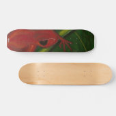 Manny The Mantella (Kikker) Skateboard (Horizontaal)