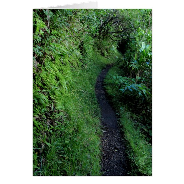 Manoa Cliffs Trail (Voorkant)