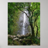 Manoa Falls, O'ahu, Hawai'i Poster (Voorkant)