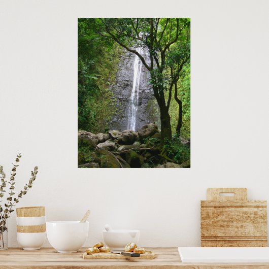 Manoa Falls, O'ahu, Hawai'i Poster (Keuken)