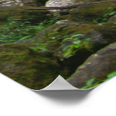 Manoa Falls, O'ahu, Hawai'i Poster (Hoek)