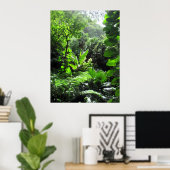 Mānoa stream bed poster (Thuiskantoor)