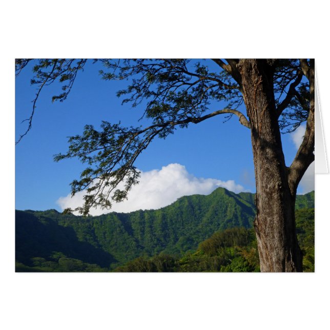 Manoa Valley (Voorkant Horizontaal)