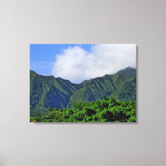 Manoa Valley Canvas Afdruk (Voorkant)