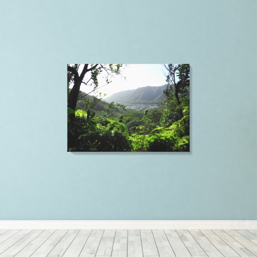 Manoa Valley, Hawaï Canvas Afdruk (Insitu (Houten vloer))