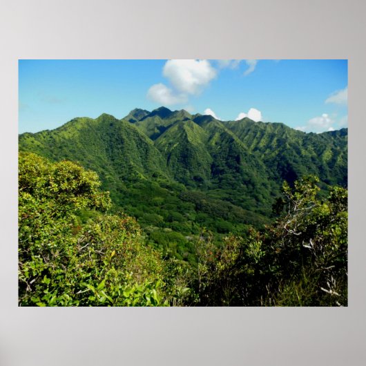 Manoa Valley Morning Poster (Voorkant)