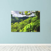 Manoa Valley, O'ahu, Hawai'i Canvas Afdruk (Insitu (Houten vloer))