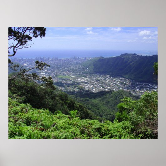 Manoa Valley, O'ahu, Hawai'i Poster (Voorkant)