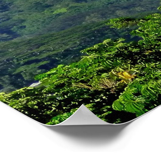 Manoa Valley Poster (Hoek)