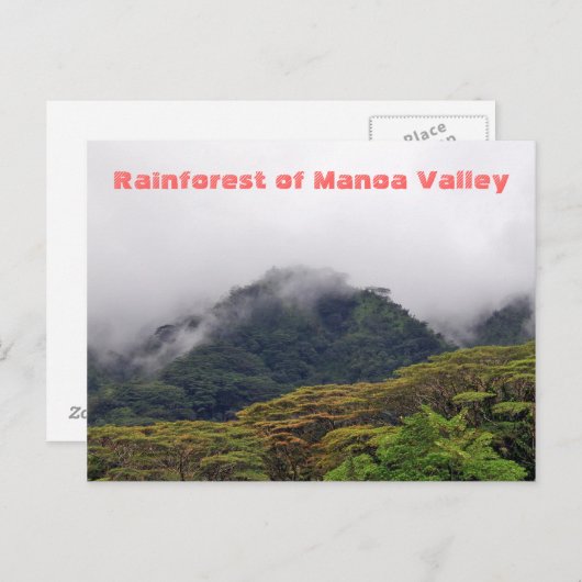 Manoa Valley Rainforest Postcard Briefkaart (Voorkant / Achterkant)
