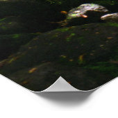 Manoa Valley Stream Poster (Hoek)