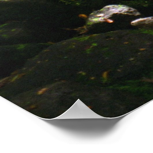 Manoa Valley Stream Poster (Hoek)